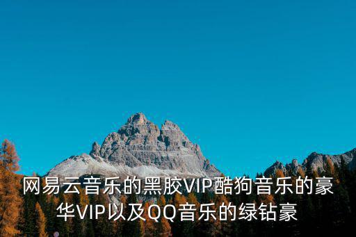 網易云音樂的黑膠VIP酷狗音樂的豪華VIP以及QQ音樂的綠鉆豪