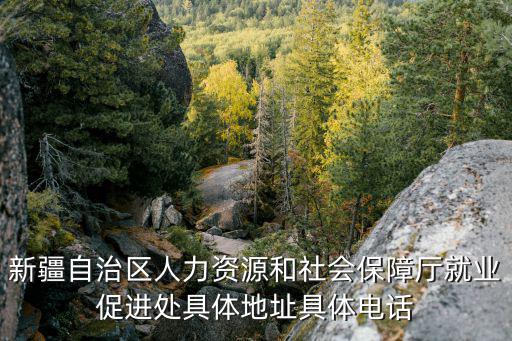 新疆人社局，新疆自治區人力資源和社會保障廳就業促進處具體地址具體電話