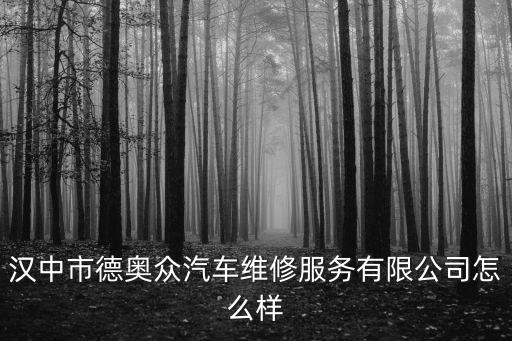 漢中市德奧眾汽車維修服務有限公司怎么樣