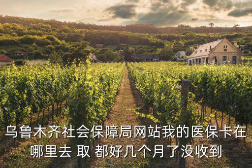 烏魯木齊社會保障局網(wǎng)站我的醫(yī)?？ㄔ谀睦锶?取 都好幾個月了沒收到
