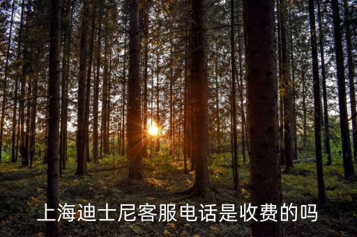 上海迪士尼客服電話是收費的嗎
