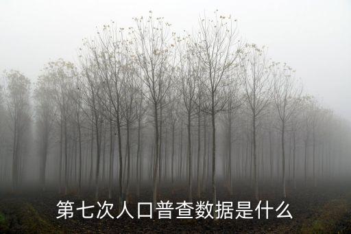 第七次人口普查數(shù)據(jù)是什么