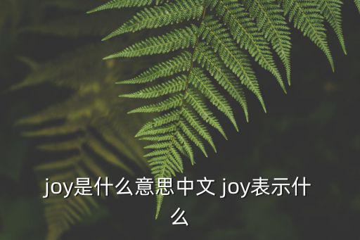 joy是什么意思中文 joy表示什么