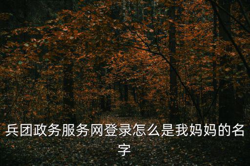 兵團政務網，兵團政務服務網登錄怎么是我媽媽的名字