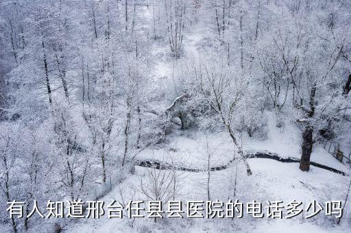 有人知道邢臺任縣縣醫院的電話多少嗎
