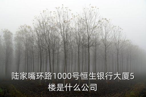 陸家嘴環(huán)路1000號(hào)恒生銀行大廈5樓是什么公司