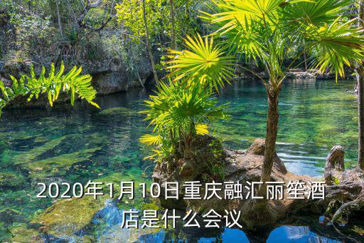 重慶融匯麗笙酒店，2020年1月10日重慶融匯麗笙酒店是什么會議