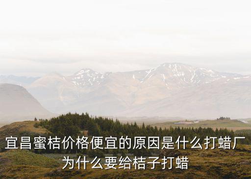 宜昌蜜桔，湖北宜昌蜜橘最便宜多少錢一斤