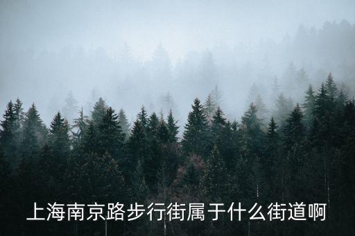 上海南京路步行街，上海南京路步行街屬于什么街道啊