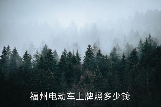 福州電動車上牌照多少錢
