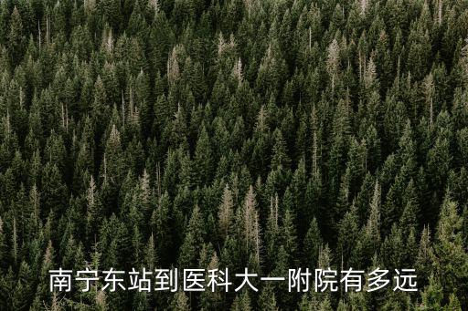 南寧東站到醫科大一附院有多遠
