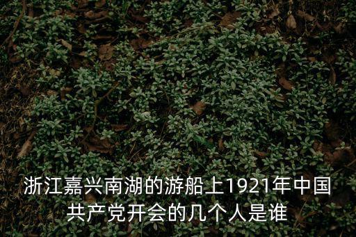 浙江嘉興南湖的游船上1921年中國共產黨開會的幾個人是誰