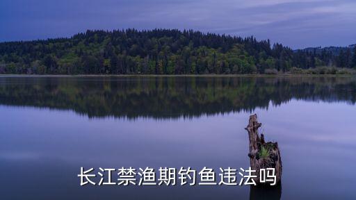 長江禁漁期，長江中下游休漁期什么時候
