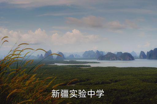 新疆實驗中學