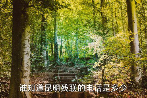 誰知道昆明殘聯(lián)的電話是多少