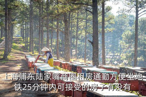 上海浦東陸家嘴商圈租房通勤方便坐地鐵25分鐘內可接受的房子有沒有