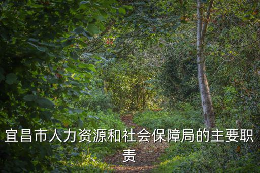 宜昌市人力資源和社會保障局的主要職責