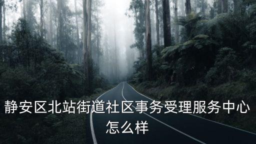 靜安區(qū)北站街道社區(qū)事務(wù)受理服務(wù)中心怎么樣