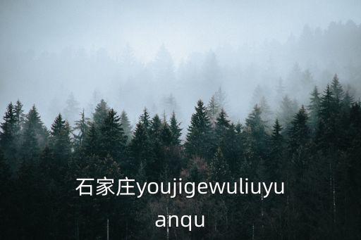 石家莊youjigewuliuyuanqu