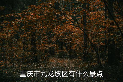 重慶市九龍坡區(qū)有什么景點(diǎn)