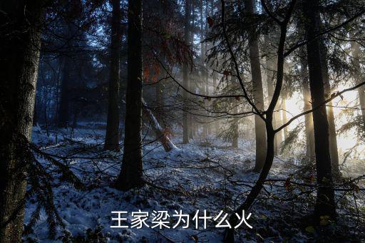 王家梁為什么火