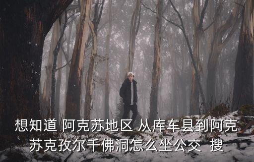 想知道 阿克蘇地區(qū) 從庫車縣到阿克蘇克孜爾千佛洞怎么坐公交  搜