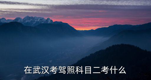 駕照科目二考什么，科目一科目二科目三科目四分別考什么