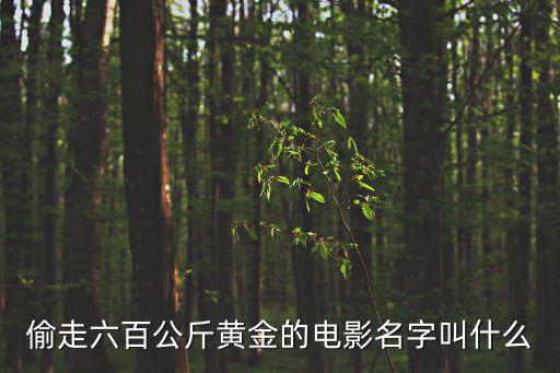 偷走六百公斤黃金的電影名字叫什么
