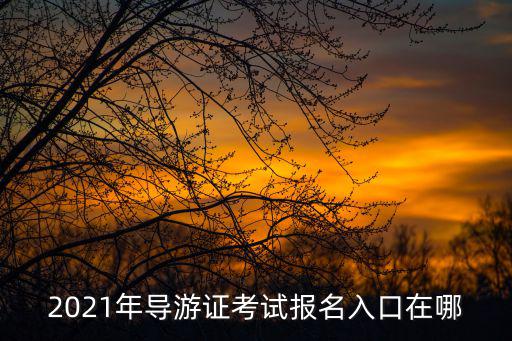 全國導游資格考試網上報名系統，導游資格考試