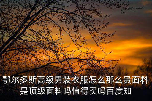 鄂爾多斯高級男裝衣服怎么那么貴面料是頂級面料嗎值得買嗎百度知