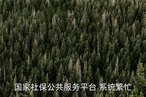 社保公共服務(wù)平臺，武漢市社會保險公共服務(wù)平臺怎么查詢