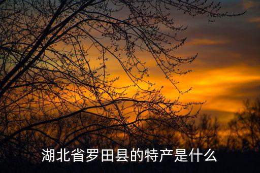 湖北省羅田縣的特產是什么