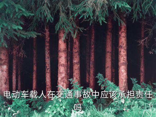 電動車載人，電動自行車載人是違法還是違章