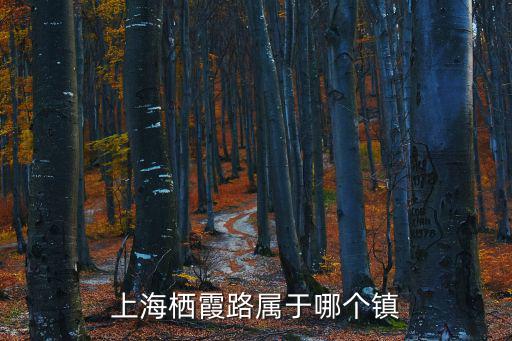 上海棲霞路屬于哪個鎮