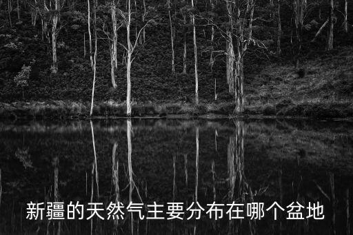新疆的天然氣主要分布在哪個盆地