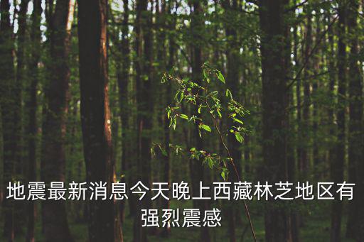 地震最新消息今天晚上西藏林芝地區有強烈震感