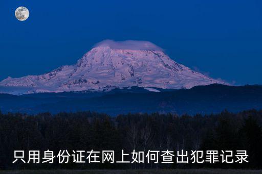 只用身份證在網上如何查出犯罪記錄