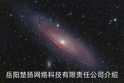 岳陽楚揚網絡科技有限責任公司介紹