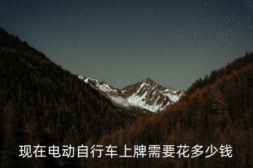 現在電動自行車上牌需要花多少錢