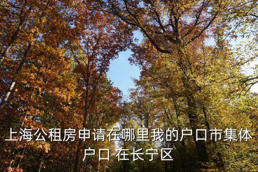 上海公租房申請在哪里我的戶口市集體戶口 在長寧區