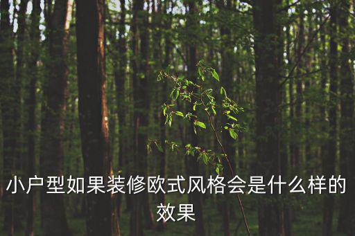 歐美裝修風(fēng)格，小戶型如果裝修歐式風(fēng)格會(huì)是什么樣的效果
