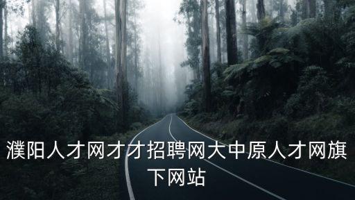 濮陽人才網才才招聘網大中原人才網旗下網站