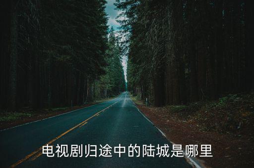 電視劇歸途中的陸城是哪里