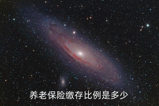 養(yǎng)老保險繳存比例是多少