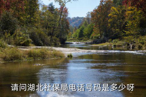 請(qǐng)問(wèn)湖北社保局電話(huà)號(hào)碼是多少呀