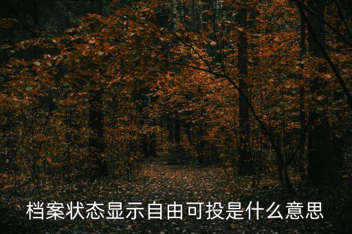 檔案狀態顯示自由可投是什么意思