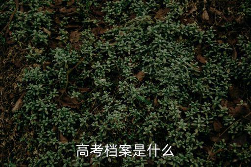 高考檔案是什么