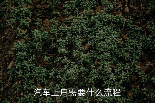 汽車上戶需要什么流程
