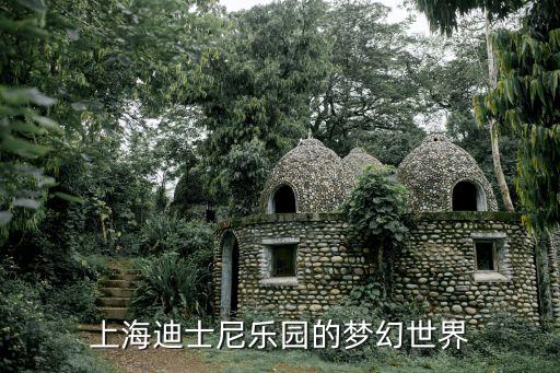 晶彩奇航，晶彩奇航 迪士尼好玩嗎