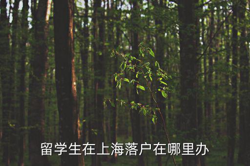 留學生在上海落戶在哪里辦